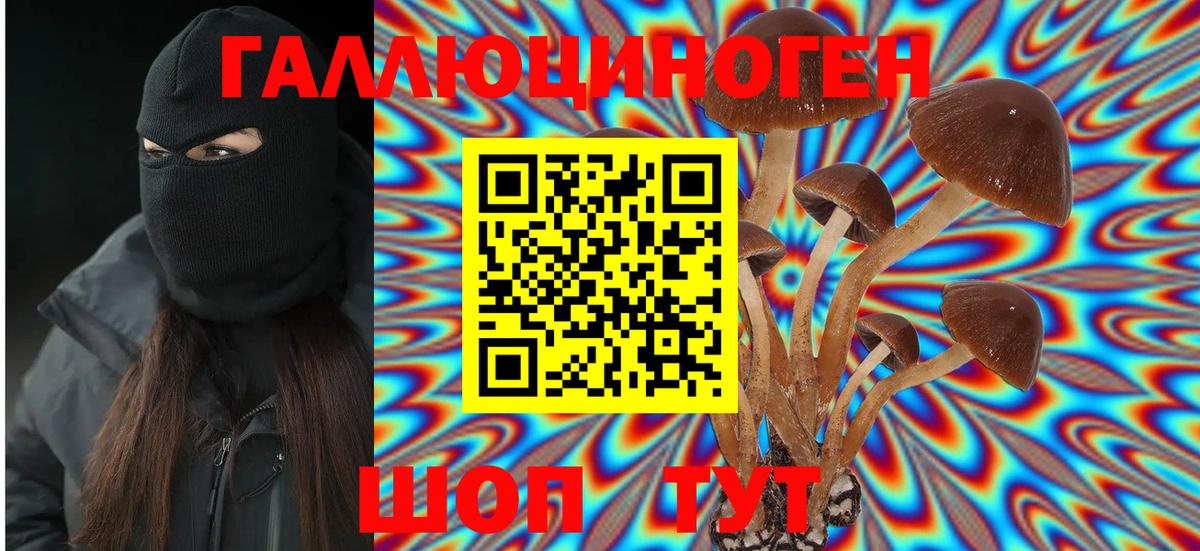 Галлюциногенные грибы мухоморы  Вход с VPN  купить  сайты  Елизово 
